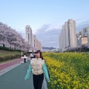 선우닭한마리