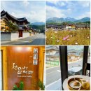 국준샘문학관학원 | 산책 - 은평한옥마을 (문학관, 미술관, 박물관, 1인1잔)