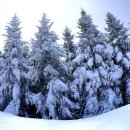 허브밸리(주차장 버스) 이미지