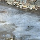 백구공원 | 부산 서면 밥집 추천 강갈비탕 재방문 솔직후기