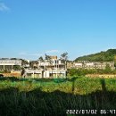 평화장식 - 사하구 두송로26번길 45 | 평화장식