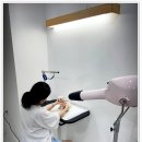 하트몽 | 증산역 강아지 미용 하트몽 우리 아이 인생 스타일 완성