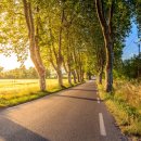 통일동물병원 이미지