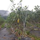 도사곡리 경로당 이미지