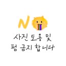 롱플레이어 이미지