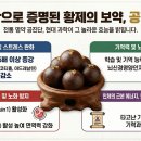 공진단 실사 이미지 활용 인포그래픽 만들기 이미지
