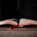 (주)이십일세기 | 사도행전 39장