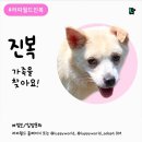 월드진 이미지