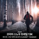 2025 코리아 스노우 트레일 13K (화이트 서밋 태백) 후기