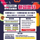 한가네청과