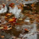 소향공원 이미지