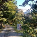 🍁가평캠핑장 | 개울가오토캠핑장 후기🏕️🌟