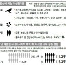 원시림 이미지