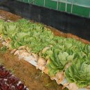 청기와숯불촌 이미지