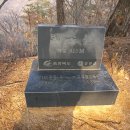 백조사 이미지