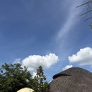 더사우나(The Sauna) | 여행(5)🇹🇭] 코쿤 사우나 ♨️ | 치앙마이 근교 숨은...수영장🕶️🏝️ | The Cocoon Sauna &amp; Ice Bath 체험 후기🩱🌀