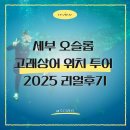 선캐처 잘될고래 | 세부 오슬롭 고래상어 위치 투어 2025 리얼후기
