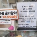 라이스윗마카롱