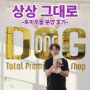 토이푸들 분양후기, 상상만 하던 모습 그대로였던 왕자님