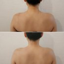 스캔앤바디 이미지