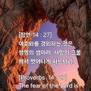 뿌리세상