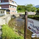 코스모스작은도서관 이미지