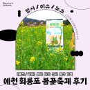 2025 회룡포 봄꽃축제 이미지