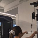 네스트짐 헬스피티 이미지