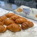 마고포레스트 | 경산 대형카페 소금빵 맛집, 마고포레스트&마고플레인 방문 후기🐾