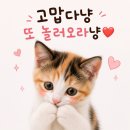 윤희해장국