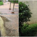 목포미항초등학교 이미지