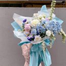 잔비어스 이미지