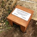 고양이발자국 이미지