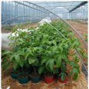 재열농장 이미지