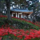 환벽당길 이미지