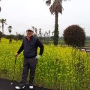 정관초등학교 이미지