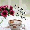 달달하루