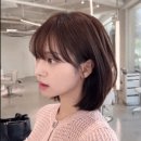 김지영헤어 이미지