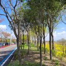 나주종합스포츠파크 건너편 이미지