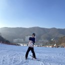 탁구(중급) | 비발디파크 스키장 1박2일 | 숙소 정리,셔틀버스,간지렌탈샵,야간스키 후기