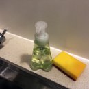 소노펠리체 비발디파크 이미지