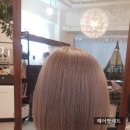 라벤다헤어 이미지
