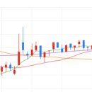 브이에스팜(주) 이미지