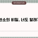 원솔 이미지