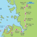중왕뻘낙지 이미지