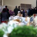 영남화훼농협 이미지