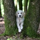 산수 태권도장 이미지