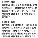 혈전 심해지기 전에 나타나는 증상 이미지