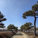 궁남지 동문주차장 화장실 이미지