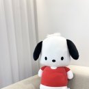 (주)마이씨에스 이미지